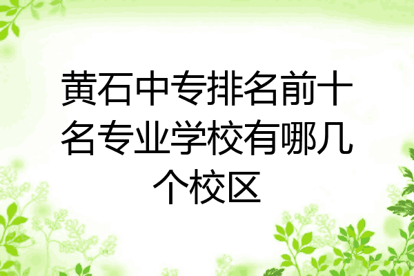 黄石中专排名前十名专业学校有哪几个校区