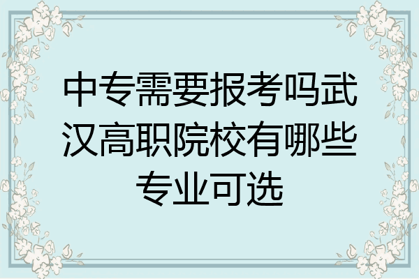 中专需要报考吗武汉高职院校有哪些专业可选