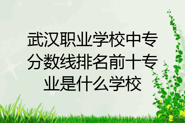 武汉职业学校中专分数线排名前十专业是什么学校