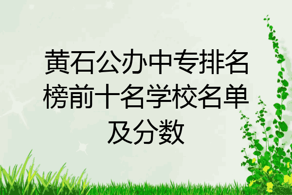 黄石公办中专排名榜前十名学校名单及分数