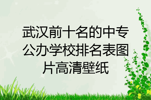 武汉前十名的中专公办学校排名表图片高清壁纸