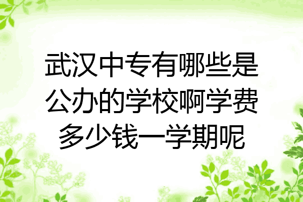 武汉中专有哪些是公办的学校啊学费多少钱一学期呢