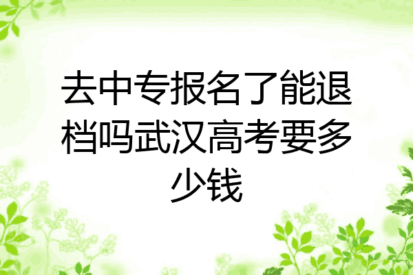 去中专报名了能退档吗武汉高考要多少钱