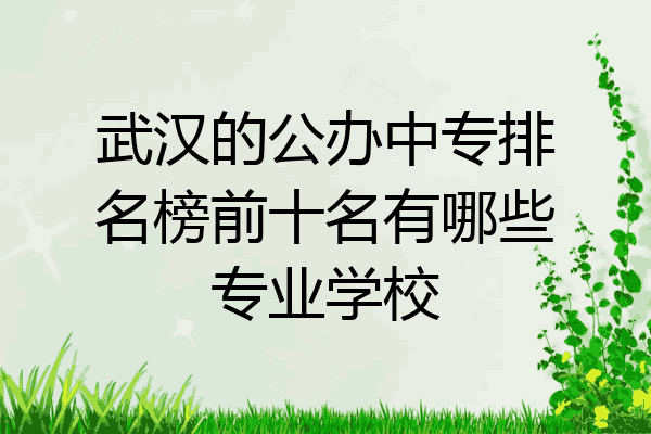 武汉的公办中专排名榜前十名有哪些专业学校