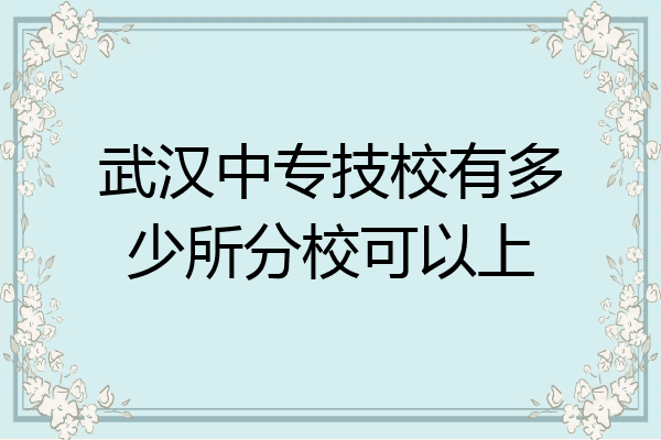 武汉中专技校有多少所分校可以上