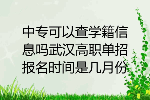 中专可以查学籍信息吗武汉高职单招报名时间是几月份