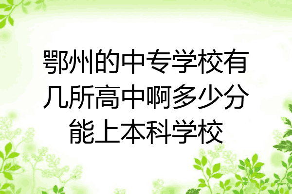 鄂州的中专学校有几所高中啊多少分能上本科学校