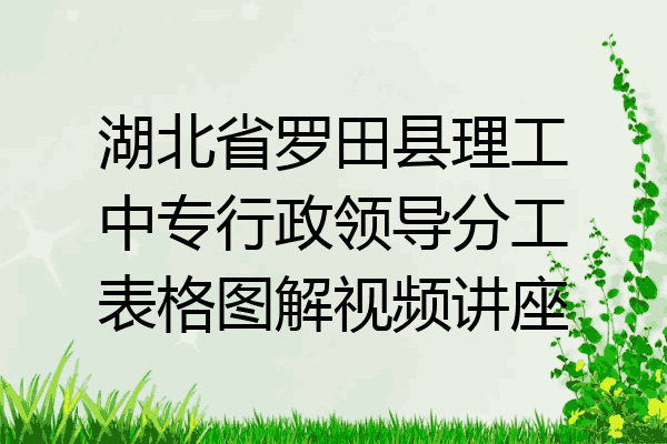湖北省罗田县理工中专行政领导分工表格图解视频讲座