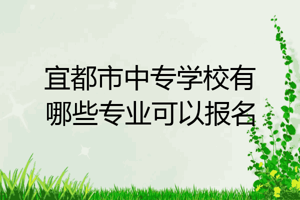 宜都市中专学校有哪些专业可以报名