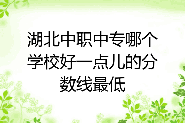 湖北中职中专哪个学校好一点儿的分数线最低
