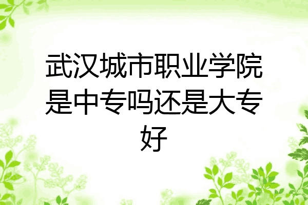 武汉城市职业学院是中专吗还是大专好