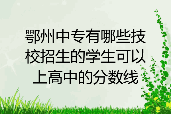 鄂州中专有哪些技校招生的学生可以上高中的分数线