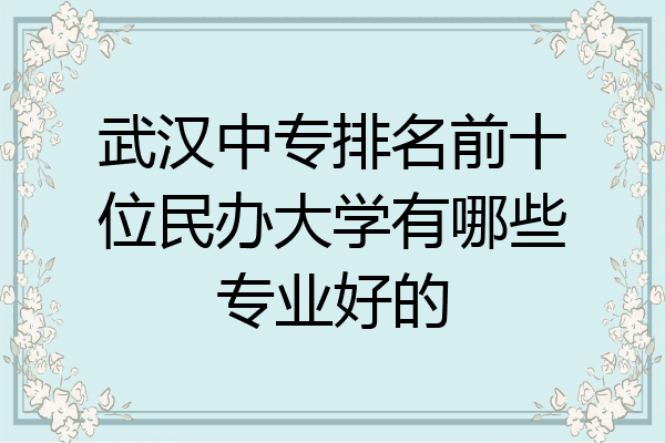 武汉中专排名前十位民办大学有哪些专业好的