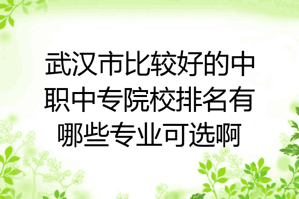 武汉市比较好的中职中专院校排名有哪些专业可选啊