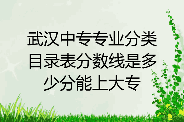 武汉中专专业分类目录表分数线是多少分能上大专