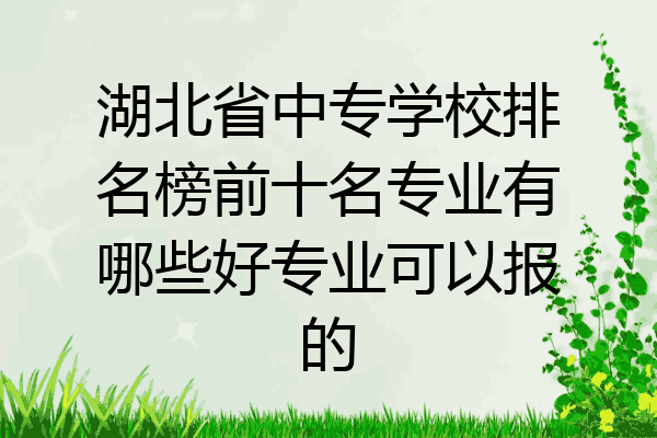 湖北省中专学校排名榜前十名专业有哪些好专业可以报的