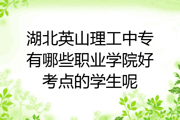 湖北英山理工中专有哪些职业学院好考点的学生呢