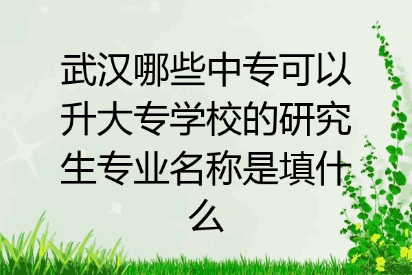 武汉哪些中专可以升大专学校的研究生专业名称是填什么