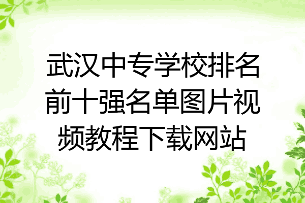 武汉中专学校排名前十强名单图片视频教程下载网站