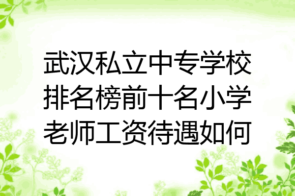 武汉私立中专学校排名榜前十名小学老师工资待遇如何