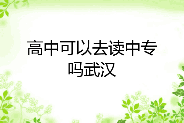 高中可以去读中专吗武汉