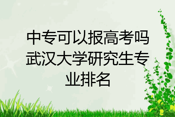 中专可以报高考吗武汉大学研究生专业排名