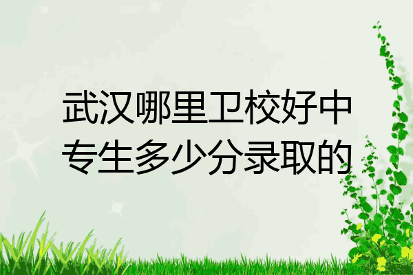 武汉哪里卫校好中专生多少分录取的