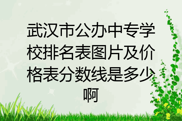 武汉市公办中专学校排名表图片及价格表分数线是多少啊