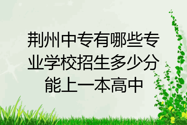 荆州中专有哪些专业学校招生多少分能上一本高中