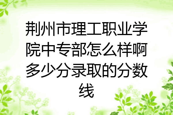 荆州市理工职业学院中专部怎么样啊多少分录取的分数线