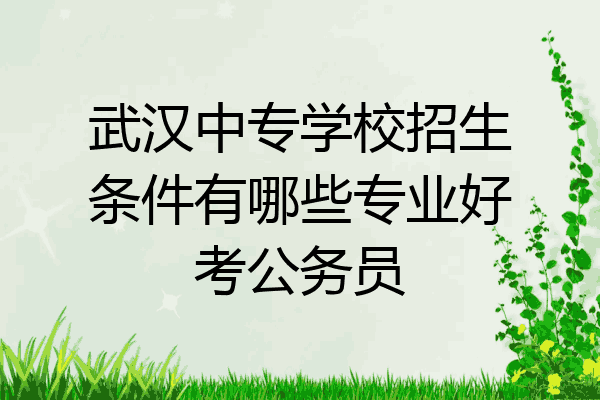 武汉中专学校招生条件有哪些专业好考公务员
