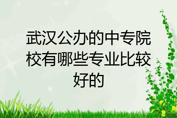 武汉公办的中专院校有哪些专业比较好的