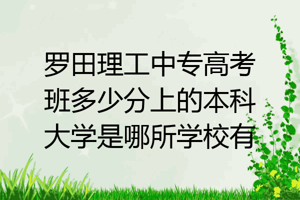 罗田理工中专高考班多少分上的本科大学是哪所学校有