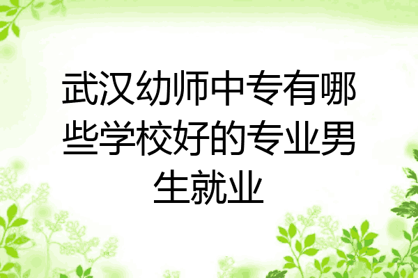 武汉幼师中专有哪些学校好的专业男生就业