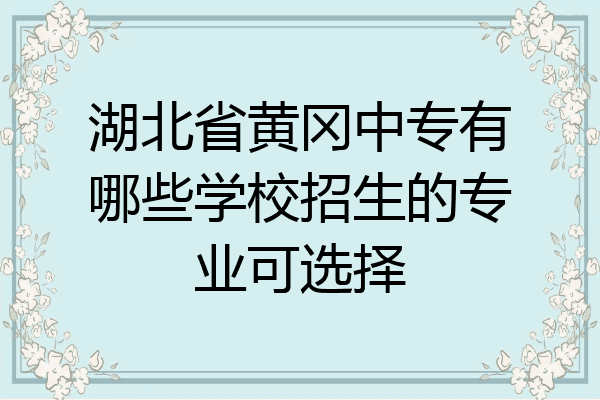 湖北省黄冈中专有哪些学校招生的专业可选择