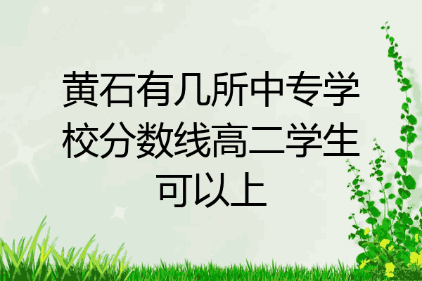 黄石有几所中专学校分数线高二学生可以上