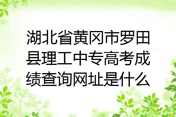 湖北省黄冈市罗田县理工中专高考成绩查询网址是什么