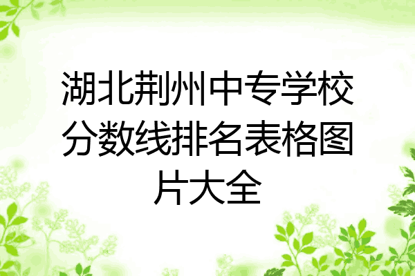 湖北荆州中专学校分数线排名表格图片大全