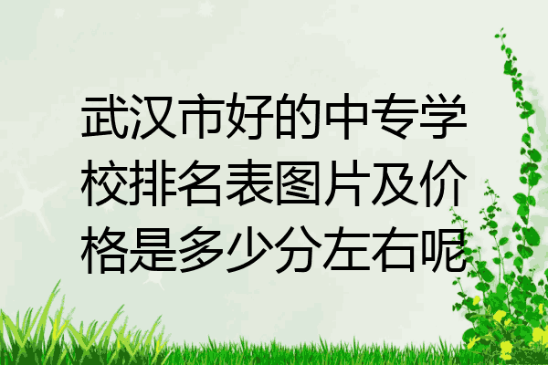 武汉市好的中专学校排名表图片及价格是多少分左右呢