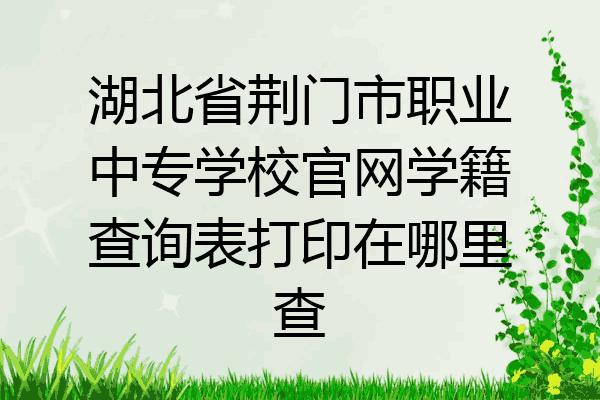 湖北省荆门市职业中专学校官网学籍查询表打印在哪里查