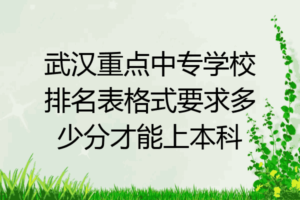 武汉重点中专学校排名表格式要求多少分才能上本科