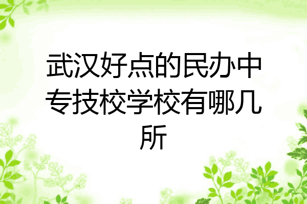 武汉好点的民办中专技校学校有哪几所