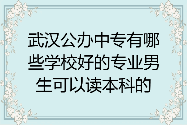 武汉公办中专有哪些学校好的专业男生可以读本科的