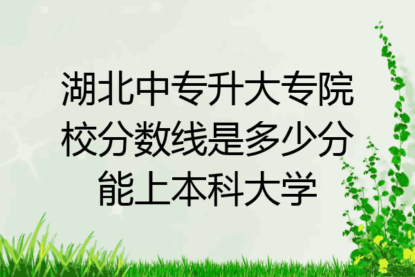 湖北中专升大专院校分数线是多少分能上本科大学
