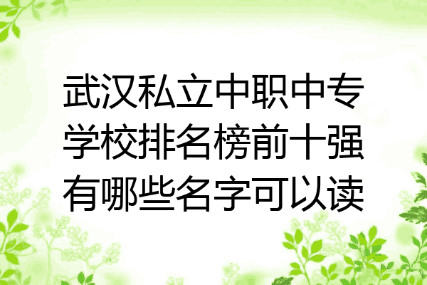 武汉私立中职中专学校排名榜前十强有哪些名字可以读