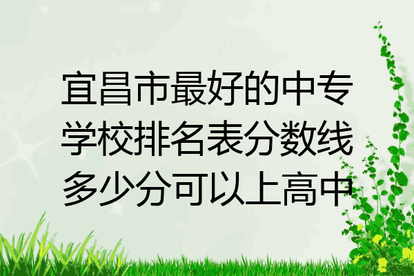 宜昌市最好的中专学校排名表分数线多少分可以上高中