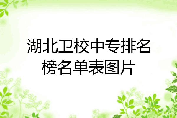 湖北卫校中专排名榜名单表图片