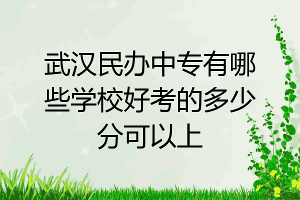 武汉民办中专有哪些学校好考的多少分可以上
