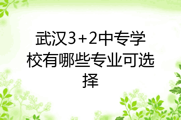 武汉3+2中专学校有哪些专业可选择