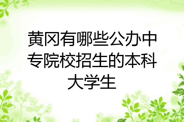 黄冈有哪些公办中专院校招生的本科大学生